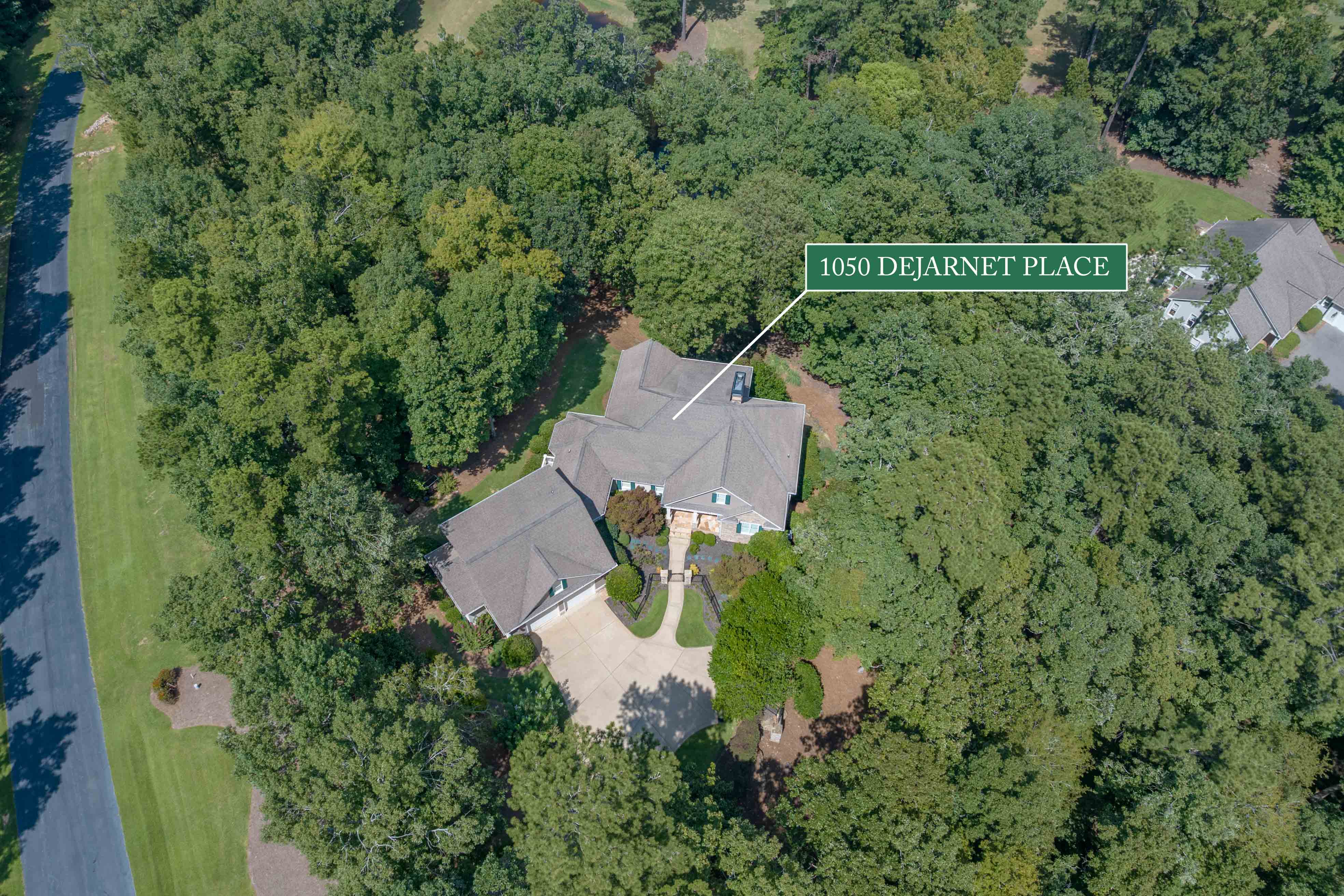 1050 Dejarnet Place image 55